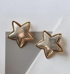 Özel Seri İki Renk Yıldız Küpe