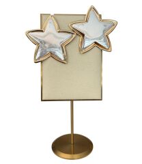 Özel Seri İki Renk Yıldız Küpe