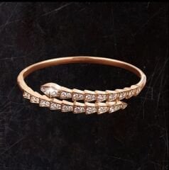 Özel Seri Zirkon Taş Sıralı Yılan Kelepçe Bileklik